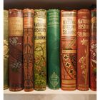 Buchtitel wie "The Natural History of Selborne". Mehrere antike Bücher mit verzierten Buchrücken in einem Regal.