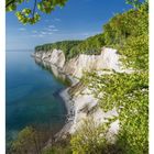 16. APRIL: Ansicht von Kreidefelsen und Meer, umrahmt von grünen Bäumen unter blauem Himmel.