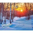 Johannes 12,44-47: Bibelzitat über Glauben, Licht und Rettung. Winterliche Szene mit Sonnenuntergang hinter Birken.