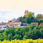 Text: "WEINSTRASSE". Blick auf ein Dorf mit weißen Häusern und roten Dächern auf einem grünen Hügel, Weinreben im Vordergrund.