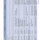 Zeittafel Ur- und Frühgeschichte, Tabellenform mit Informationen zu Leitformen, Menschenformen, wichtigsten Fundorten und Kulturen.