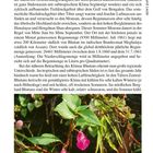 Geographie 31: Details zum Klima des tibetischen Hochlandes. Foto von rosa Blüten einer kleinen Springkraut-Art.
