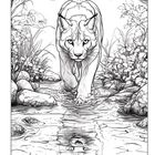 Illustration eines Luchses, der durch einen Bach schleicht, mit seinem Spiegelbild im Wasser. Pflanzen umranden die Szene.