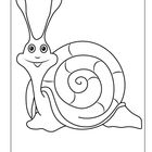 Fröhliche Schnecken-Illustration mit großen Augen und Spiralgehäuse, lächelnd und einfach gezeichnet.