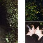 Die Zahlen 204 und 205 stehen unten. Links ein dunkler Waldweg, rechts oben dichtes Laub, unten zwei Menschen, die sich küssen.