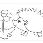 Illustration: Ein lächelnder Igel schaut eine große, einfache Blume mit fünf Blütenblättern an.