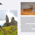 Isle of Skye, Scotland. Oktober-November, keine Massen, keine Mücken. Foto von Felsen mit grünem Gras, Hirsch und Whiskygläser.