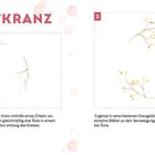 Titel: HERBSTKRANZ. Anleitung: Zeichne mit Zirkeln. Ergänze Blätter. Illustration: Zweige mit orangefarbenen Blättern.