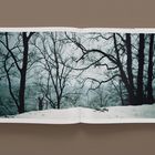 Eine offene Doppelseite eines Buches zeigt eine Winterlandschaft mit kahlen Bäumen vor bewölktem Himmel.