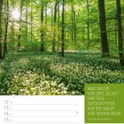 „Man sollte von Zeit zu Zeit von sich zurücktreten, wie ein Maler von seinem Bilde.“ Christian Morgenstern. Ein Wald im Sonnenlicht.