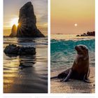 12 Mo, 13 Di, 14 Mi, 15 Do, 16 Fr, 17 Sa, 18 So, 15. Woche 2027, April. Sonnenuntergang hinter Felsen, Seelöwe am Strand.