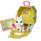 „Adoption Certificate“ auf Karte, steht vor Spielzeug-Kaninchen in gelber Verpackung mit Karotte und Flasche.