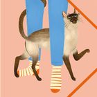 Text "my NOTES" auf orangefarbenem Streifen. Illustration: Katze umschlingt Beine in blauer Hose und gestreiften Socken.