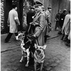Ein Mann in Uniform mit zwei Hunden, umgeben von Personen mit Armbinden, einige gehen durch eine Tür in einer gemauerten Umgebung.