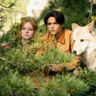 Zwei junge Menschen und ein weißer Wolf schauen durch dichtes Gebüsch in einem Wald.