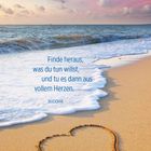 "Finde heraus, was du tun willst, und tu es dann aus vollem Herzen. BUDDHA." Ein gezeichnetes Herz im Sand am Meer.