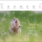 Juni-Kalender: 7. bis 13. Ein Erdhörnchen hält einen Löwenzahn, umgeben von schwebenden Samen. Text: "Glück ist wie Zeit..."