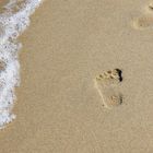 "Mai 2027" oben, Zitat von Blaise Pascal unten. Fußspuren im Sand neben sanft anrollenden Wellen.