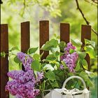 Kalenderseite Mai 2027. Text: "Ich wünsche dir Zeit für dich, denn die ist so kostbar." Fliederblüten und Zaun.