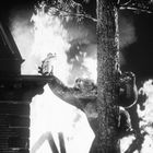 Illustration: Ein großer Gorilla klettert einen Baum hinauf. Ein Mann steht auf einem Gebäudevorsprung, umgeben von Flammen.