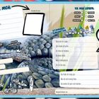 „Alles über mich“, „Ich mag lieber“, ein Stimmungsbarometer. Hintergrund: Illustration einer großen Schlange.