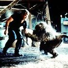 Kein sichtbarer Text. Ein Mann in Blau kämpft mit einer großen, zotteligen Kreatur in einem spärlich beleuchteten Raum.