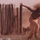 Eine Person rennt vor einer Gruppe Paviane, umgeben von Staub und hohen Holzzäunen.