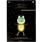 Text: Laterne Laterne, Laternen-Bastelset Frosch. Illustration zeigt leuchtenden Frosch vor einem sternenbedeckten Hintergrund.