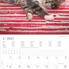 Kalenderblatt für März 2027, Wochentage in mehreren Sprachen. Darüber eine grau-weiße Katze auf rot-weißem Teppich.