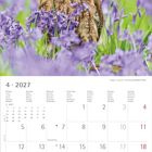 April 2027 Kalender, Eule sitzt in violetten Blumen, Termine markiert: Weltgesundheitstag (7.), Earth Day (22.).