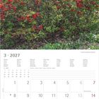 Kalender für März 2027, mit Feiertagen und Wochenzahlen. Oben blühender Strauch mit roten Blumen.