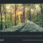 April; 30 Tage Kalender. Unter einem Wald im Sonnenlicht breitet sich ein Pfad voller weißer Blüten aus.
