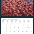 Kalenderseite März mit Wochentagen in sechs Sprachen. Oben eine Aufnahme von Felsformationen im Glen Canyon, Arizona.