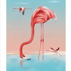 FEBRUAR, darunter ein Kalender. Illustration: Flamingos an einem See, einer trinkt, ein anderer läuft, einer fliegt.