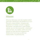 Wildwiese: Mit einer Wildwiese wird die Insektenvielfalt gefördert. Wildpflanzen gedeihen am besten auf mageren Standorten.