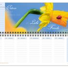 "Ostern ist das perfekte Fest, um Liebe und Freude zu teilen." Zu sehen: Gelbe Narzisse mit Marienkäfer. Kalender KW 12.