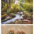 2021, 10, Kalenderseite, Igel auf Moos, Wald mit Bach und Sonnenstrahlen, Distelköpfe, Datum in Grün und Schwarz.