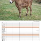 Kalenderseite mit April in vier Sprachen. Eine Ziege steht auf einem Esel auf einer Wiese.