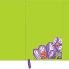 Kein Text vorhanden. Unterer Rand zeigt lila Krokusblüten auf grünem Hintergrund.