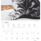 Kalenderseite für Februar 2027 mit einer Tabelle der Tage und Notizen. Ein niedliches Kätzchen ist oben zu sehen.
