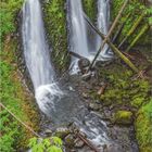 Kalenderblatt für April, „DUMONT“. Ein Wasserfall fließt zwischen grünen Moosen und Felsen hindurch in einem Wald.