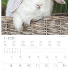 Kalenderseite für März 2027, mit Wochentagen und Notizzeile. Oben ein weißes Kaninchen vor grünem Hintergrund.