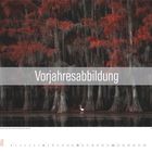 "Vorjahresabbildung" über einem Wald mit roten, herbstlichen Bäumen und einem weißen Vogel im Wasser; Kalender für Februar 2026.