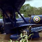 Text: "RN/MS. COUNT KYLE". Ein abgestürztes, blaues Flugzeug in einem flachen Fluss vor dichten Bäumen.
