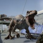 Ein Dinosaurier mit offenem Maul bedroht einen Mann auf einem Schiffdeck. Das Schiff ist mit Planen und Seilen bedeckt.