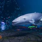 Illustration zeigt Wale, Delfin, Qualle und Fisch in bunter Unterwasserwelt mit Korallen und Blasen.