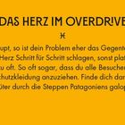 Oben steht "DAS HERZ IM OVERDRIVE". Darunter ein kurzer Text über ein unruhiges Herz. Hintergrund in Orange.