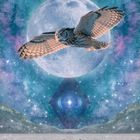 Text: "Owl", "Wisdom · Knowledge · Learning · Insight". Illustration einer Eule vor einem großen Vollmond am Nachthimmel.