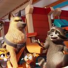 Ein düster schauender Hund und ein lächelnder Waschbär sitzen in einem Zugsitz. Umgeben von verschiedenen Tieren.