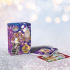 „Lasst uns frech und niedlich sein“. 24 Karten. Lila Box mit Katze und Hamster. Hintergrund mit funkelnden Lichtern.